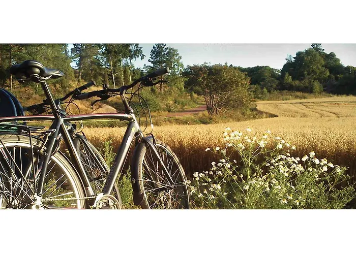 度假居 斯维诺海边别墅